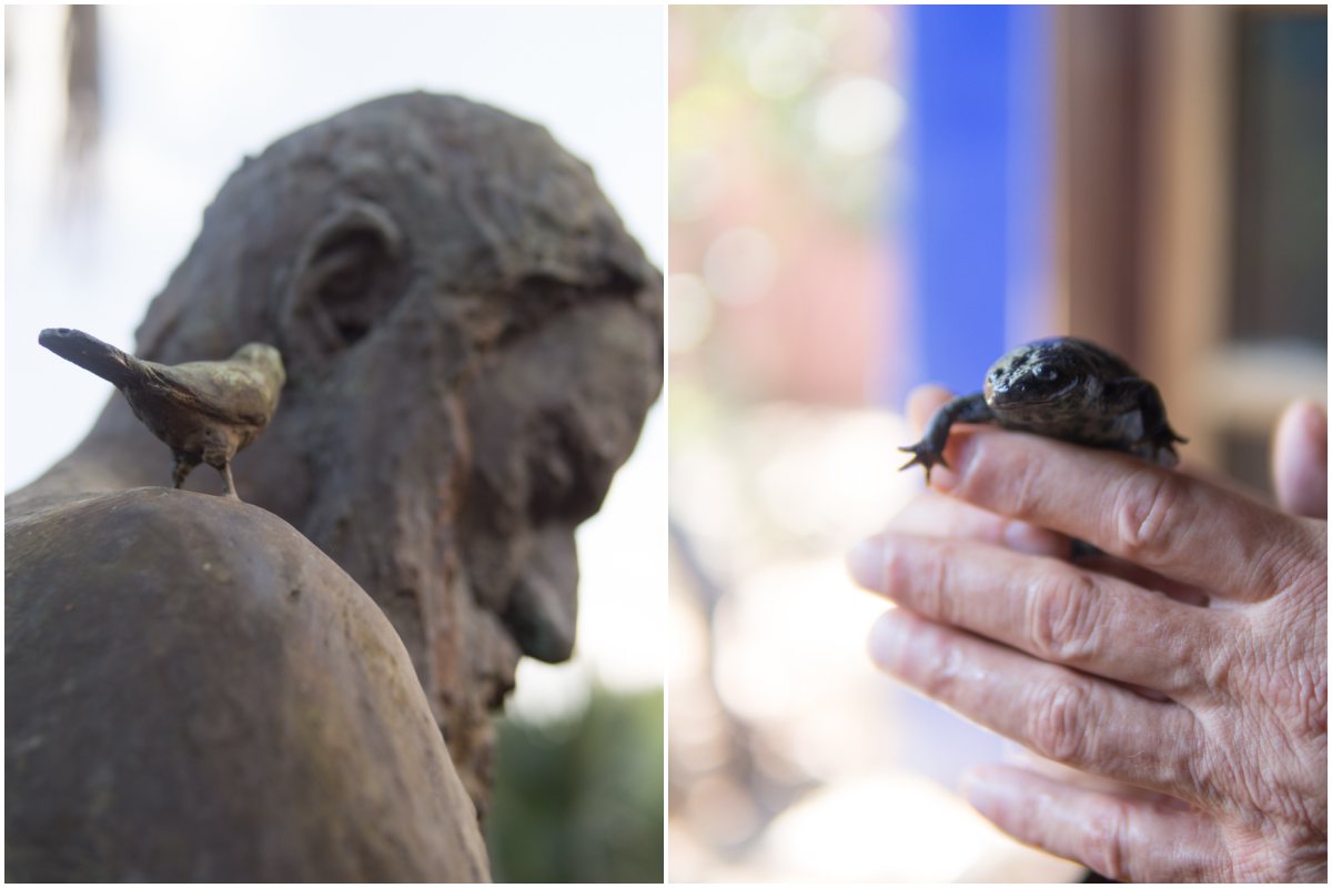 La fauna y el arte comparten protagonismo con la vegetación en este rincón de Pedreguer. La fauna y el arte comparten protagonismo con la vegetación en este rincón de Pedreguer.