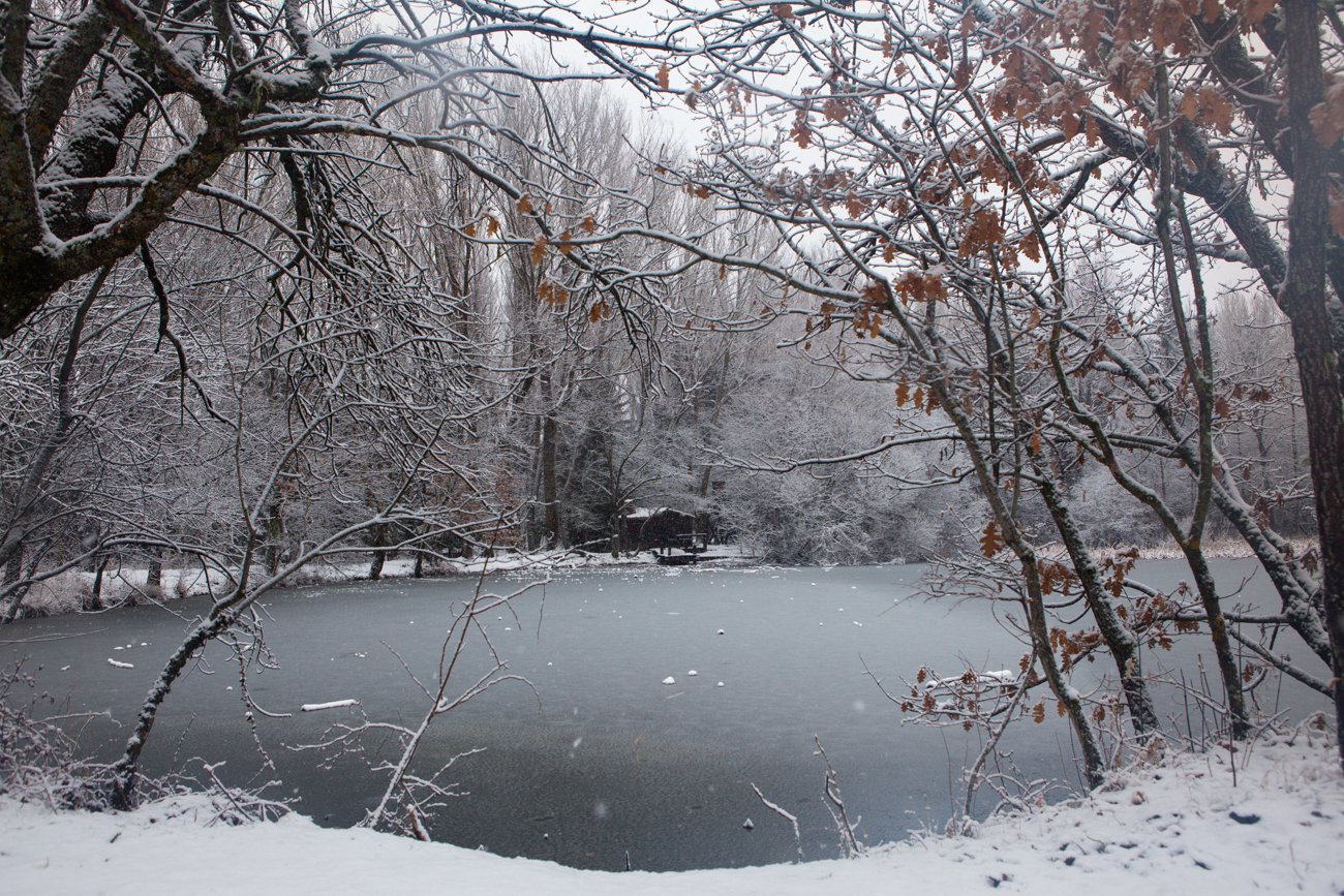 El bosque de Finlandia, con su característica casa de madera, sauna y lago. El bosque de Finlandia, con su característica casa de madera, sauna y lago.