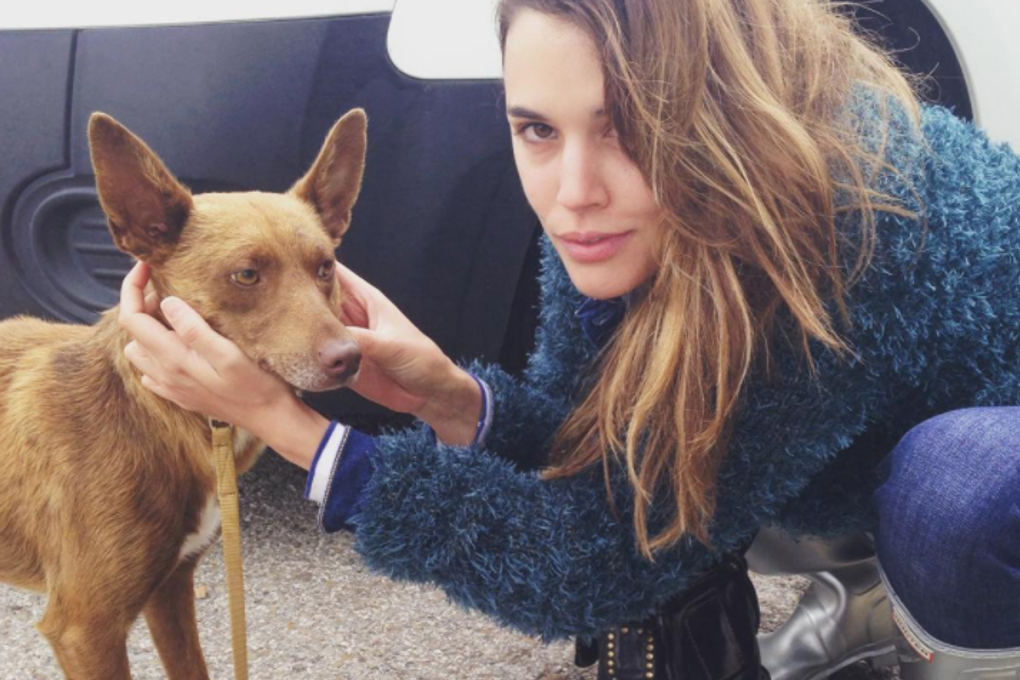 Adriana Ugarte con Chocolate, perro abandonado al que encontró un hogar Adriana Ugarte con Chocolate, perro abandonado al que encontró un hogar