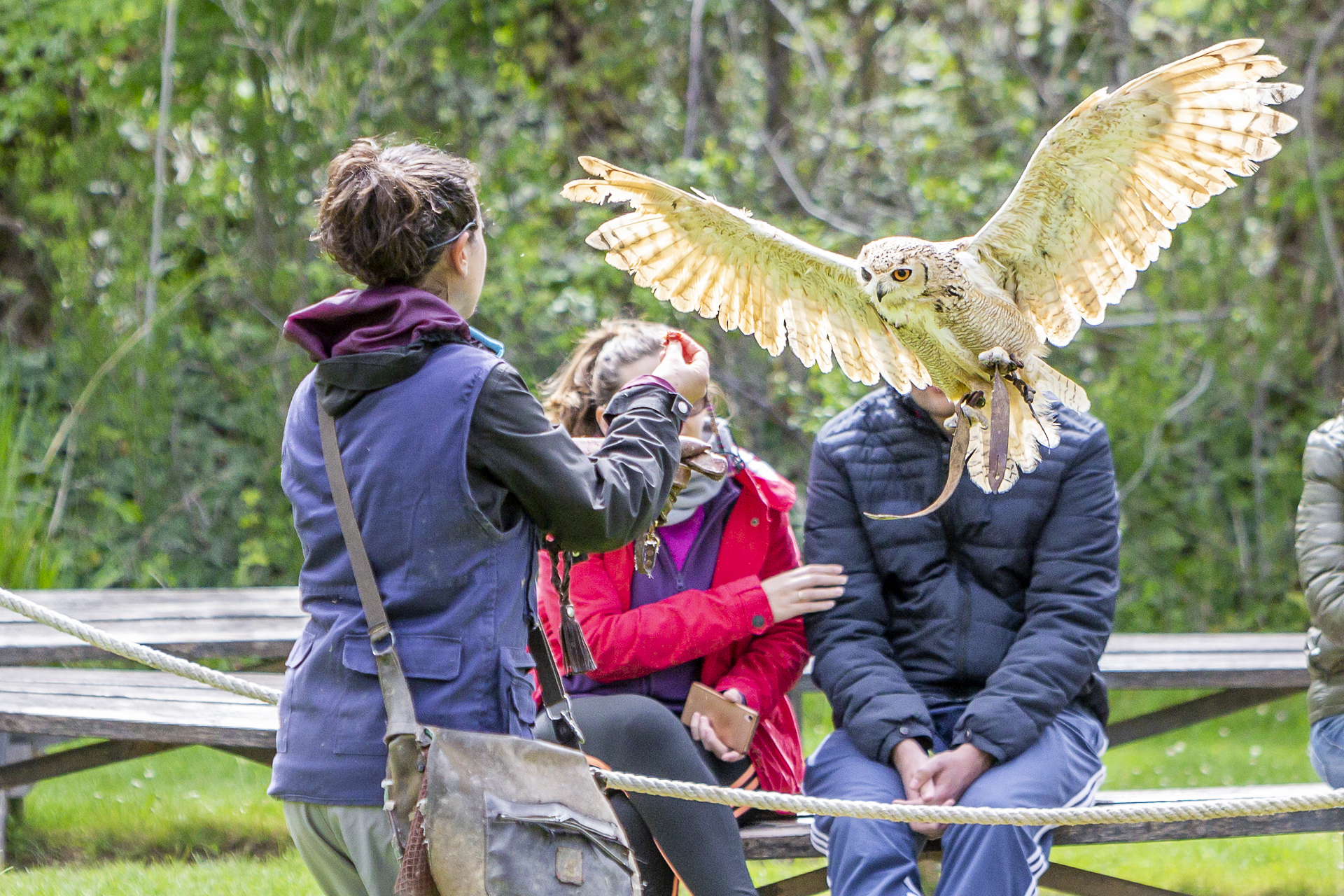 La exhibición de aves rapaces, otro plan para que los niños no quieran marcharse nunca del parque. La exhibición de aves rapaces, otro plan para que los niños no quieran marcharse nunca del parque.