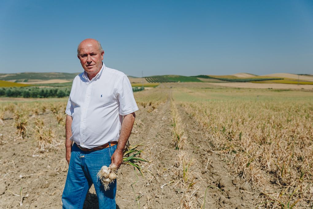 El gerente, Manuel Vaquero, sobre el terreno. El gerente, Manuel Vaquero, sobre el terreno.