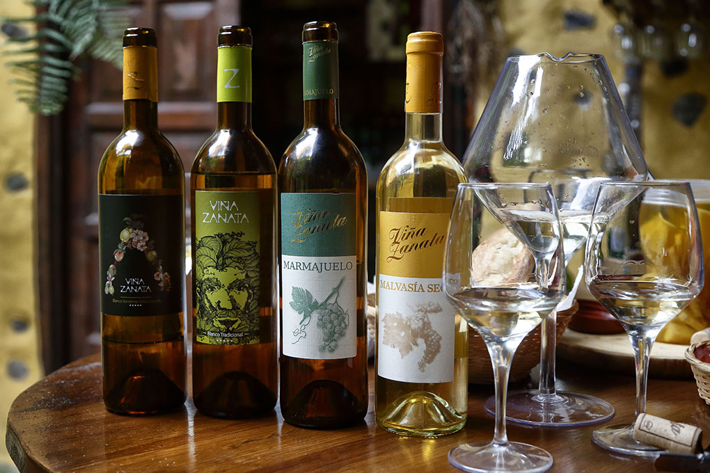 Entre los vinos de la bodega destaca el 'Vendimia Seleccionada', 'Blanco Tradicional', 'Marmajuelo' y 'Malvasía Seco'. Entre los vinos de la bodega destaca el 'Vendimia Seleccionada', 'Blanco Tradicional', 'Marmajuelo' y 'Malvasía Seco'.