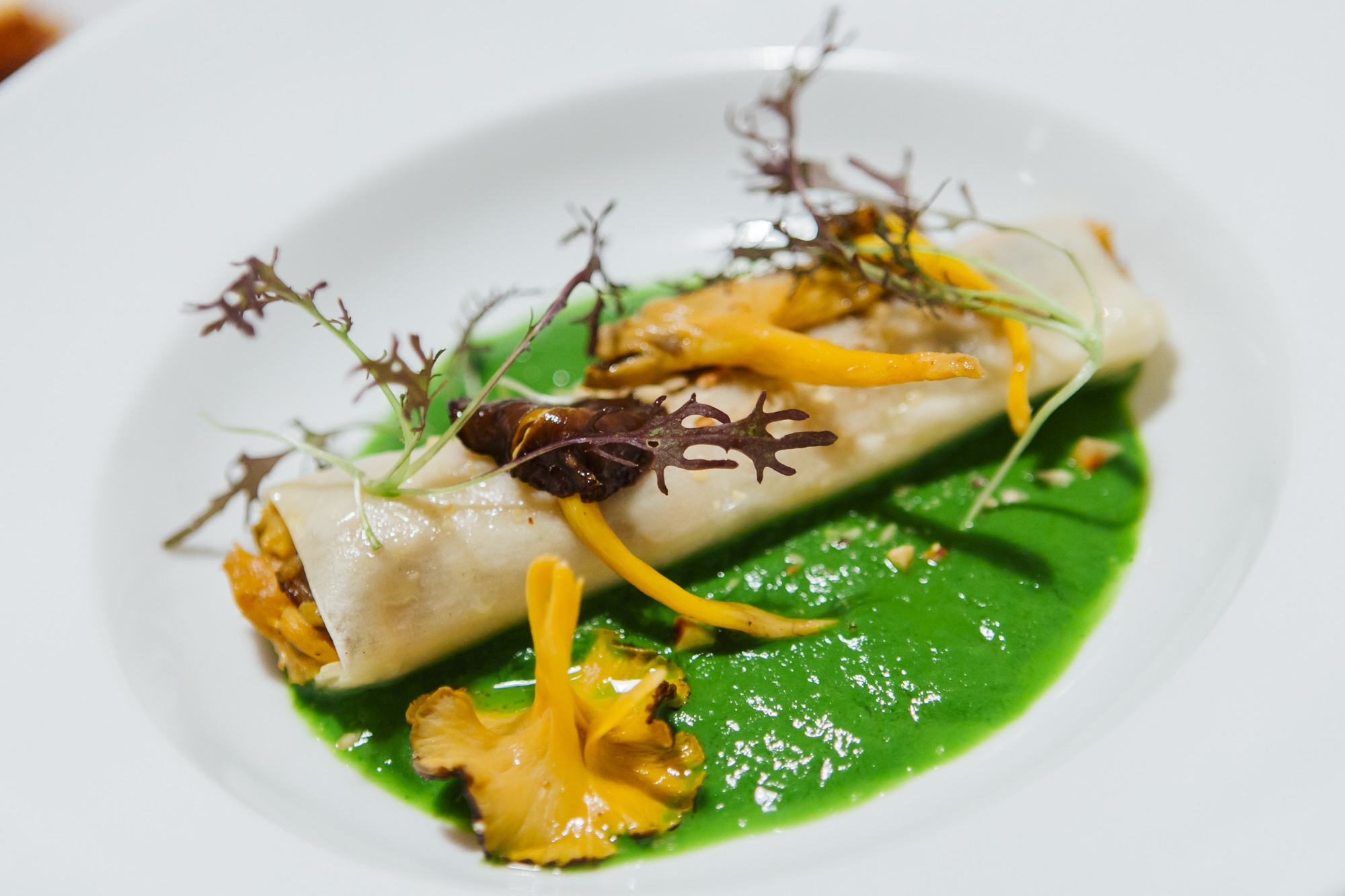Canelón de bacalao, setas y avellanas sobre una crema de acelgas. Canelón de bacalao, setas y avellanas sobre una crema de acelgas.