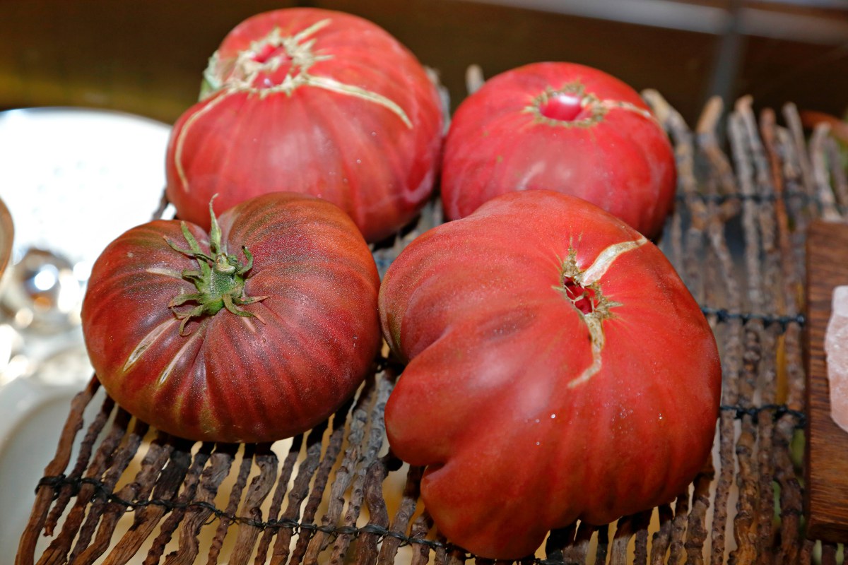 En 'El Invernadero' la carta la marca la naturaleza. Ahora es tiempo de tomates. En 'El Invernadero' la carta la marca la naturaleza. Ahora es tiempo de tomates.