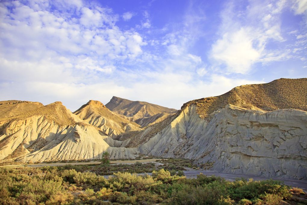 No es el Sahara, es el Desierto de Tabernas. Foto: Shutterstok. No es el Sahara, es el Desierto de Tabernas. Foto: Shutterstok.