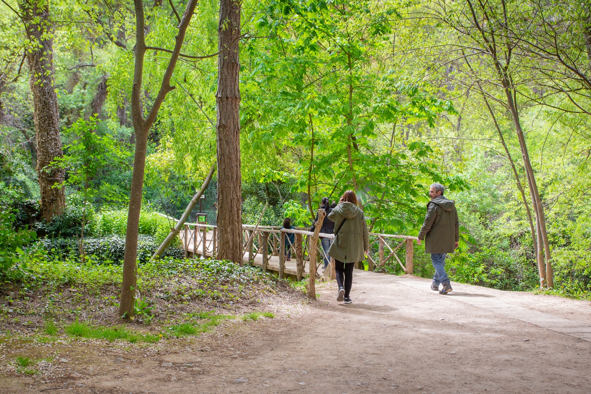 Todos los senderos están abrigados con la vegetación del bosque. Todos los senderos están abrigados con la vegetación del bosque.