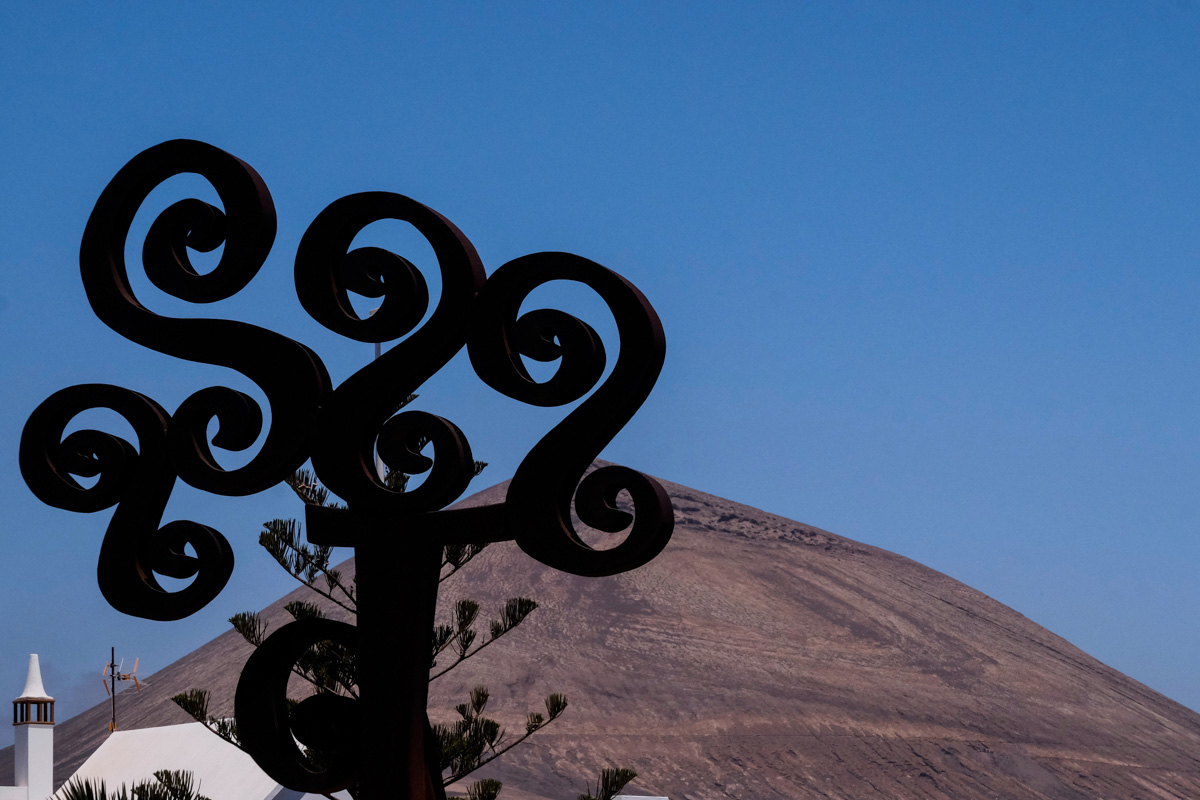 La Montaña Blanca aparece detrás del olivo que se ha convertido en símbolo de la Casa-Museo. La Montaña Blanca aparece detrás del olivo que se ha convertido en símbolo de la Casa-Museo.