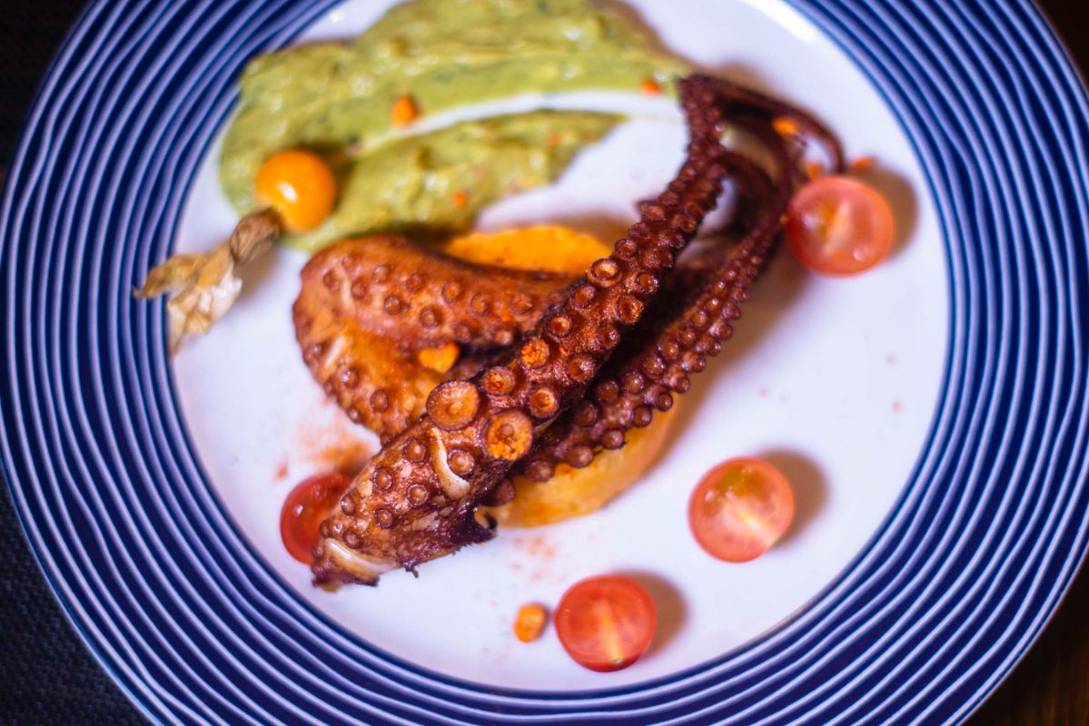 Plato de pulpo braseado con guacamole y patatas revolconas de 'La Tragantúa', en Madrid. Plato de pulpo braseado con guacamole y patatas revolconas de 'La Tragantúa', en Madrid.