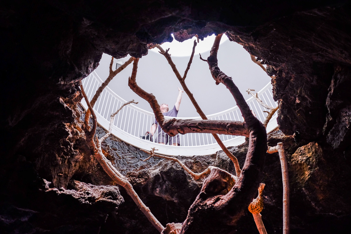 La naturaleza se abre paso por los huecos que dejó la roca volcánica en la que fue su primera casa. La naturaleza se abre paso por los huecos que dejó la roca volcánica en la que fue su primera casa.