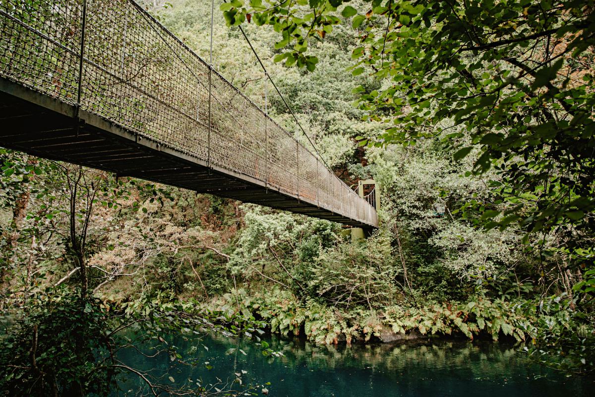 Los puentes colgantes convierten este bosque en una aventura. Los puentes colgantes convierten este bosque en una aventura.