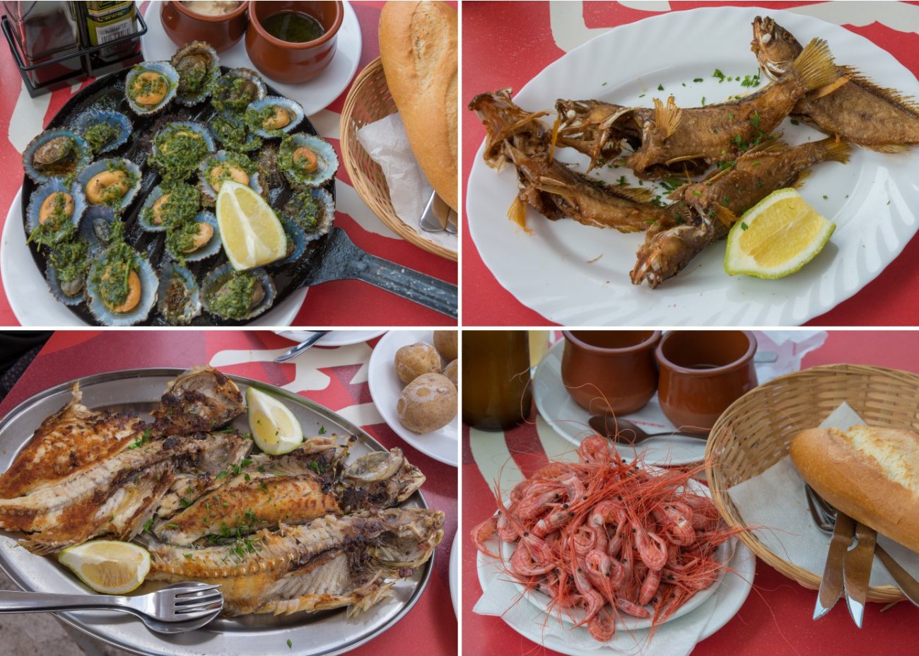 'Cofradía de pescadores' (Punta del Hidalgo): platos 'Cofradía de pescadores' (Punta del Hidalgo): platos