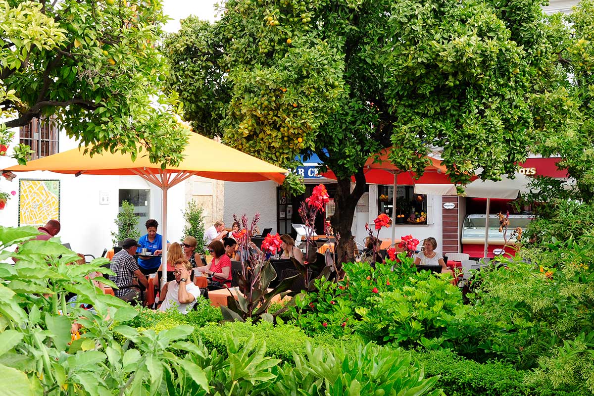 Maravilloso el entorno de la terraza en la plaza de los Naranjos. Maravilloso el entorno de la terraza en la plaza de los Naranjos.