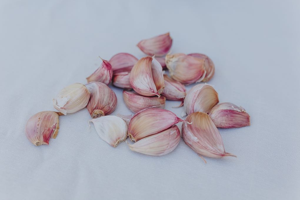 Dientes de ajo de la variedad de ajo morado (o español). Dientes de ajo de la variedad de ajo morado (o español).