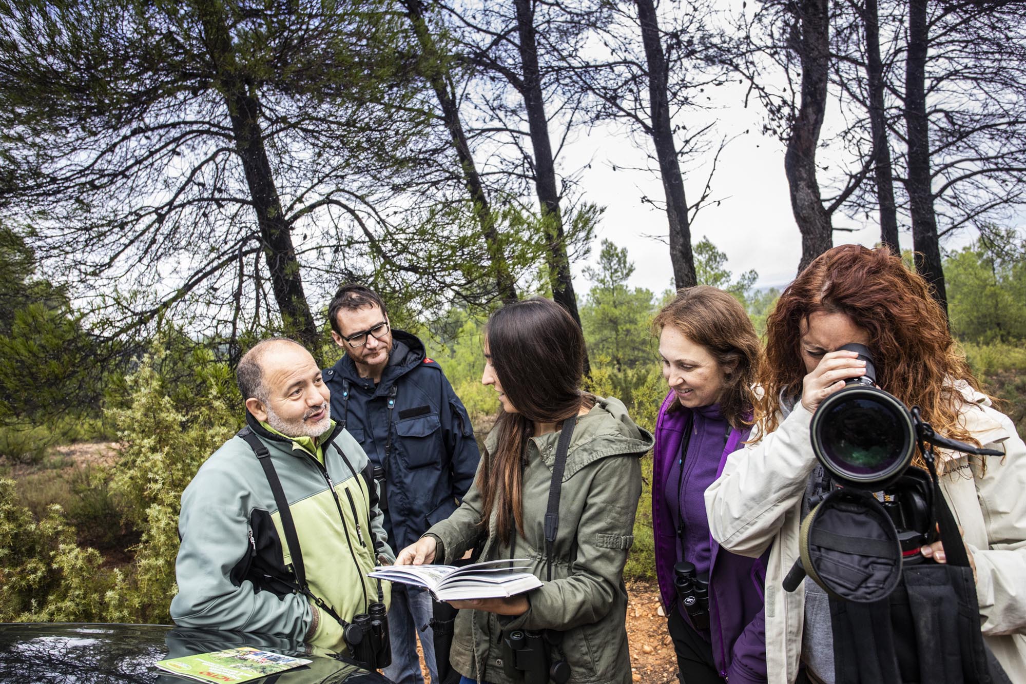 Incursión a uno de los pinares de las Hoces del Cabriel para encontrar alguno de los ejemplares que frecuentan la zona. Incursión a uno de los pinares de las Hoces del Cabriel para encontrar alguno de los ejemplares que frecuentan la zona.