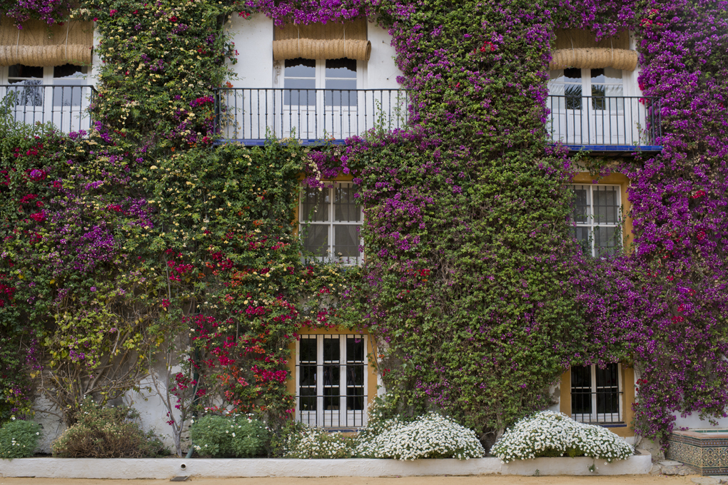 Los balcones del dormitorio de Eugenia de Montijo en Las Dueñas dan al patio de entrada al palacio. Los balcones del dormitorio de Eugenia de Montijo en Las Dueñas dan al patio de entrada al palacio.