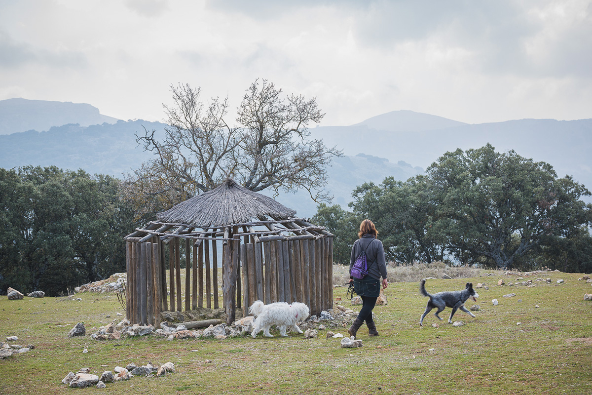 Los alrededores son perfectos para estirar las piernas con tu perro. Los alrededores son perfectos para estirar las piernas con tu perro.