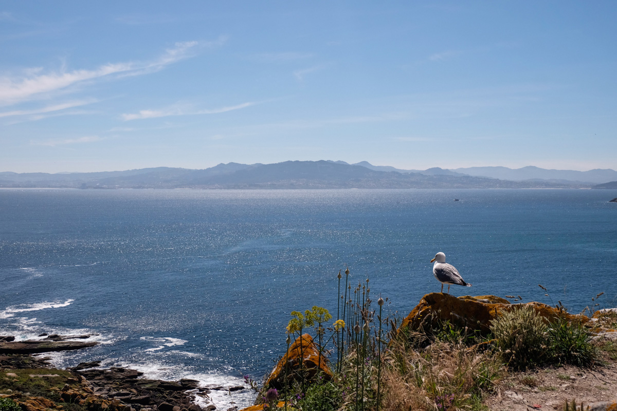 Las islas del Parque Nacional también son conocidas como las Islas de las Gaviotas. Las islas del Parque Nacional también son conocidas como las Islas de las Gaviotas.