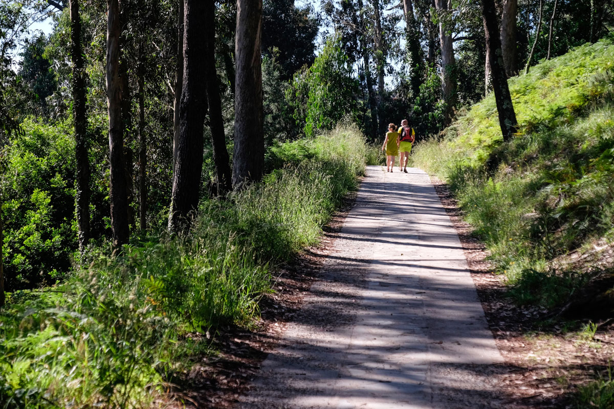 En algunas partes de las rutas que cruzan las islas la sombra acompaña a los caminantes. En algunas partes de las rutas que cruzan las islas la sombra acompaña a los caminantes.