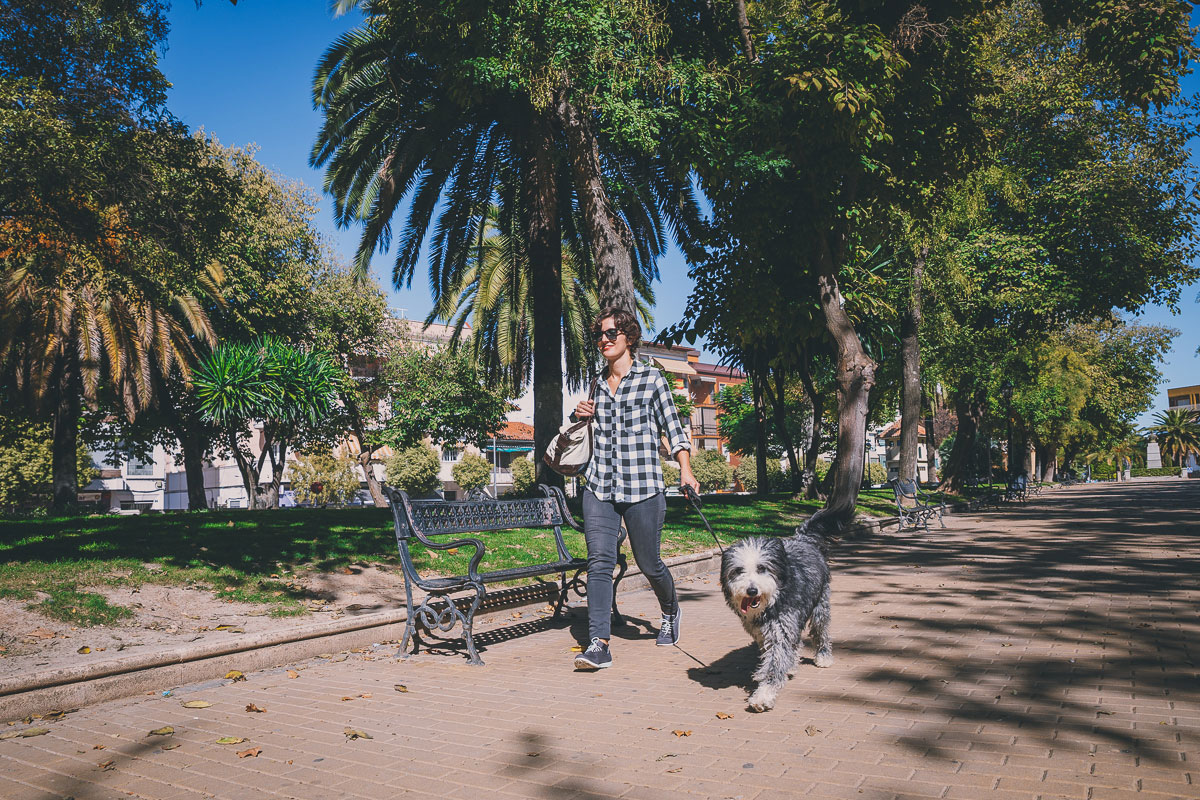 Los juguetes no deben sustituir a las salidas y paseos rutinarios por el parque. Los juguetes no deben sustituir a las salidas y paseos rutinarios por el parque.