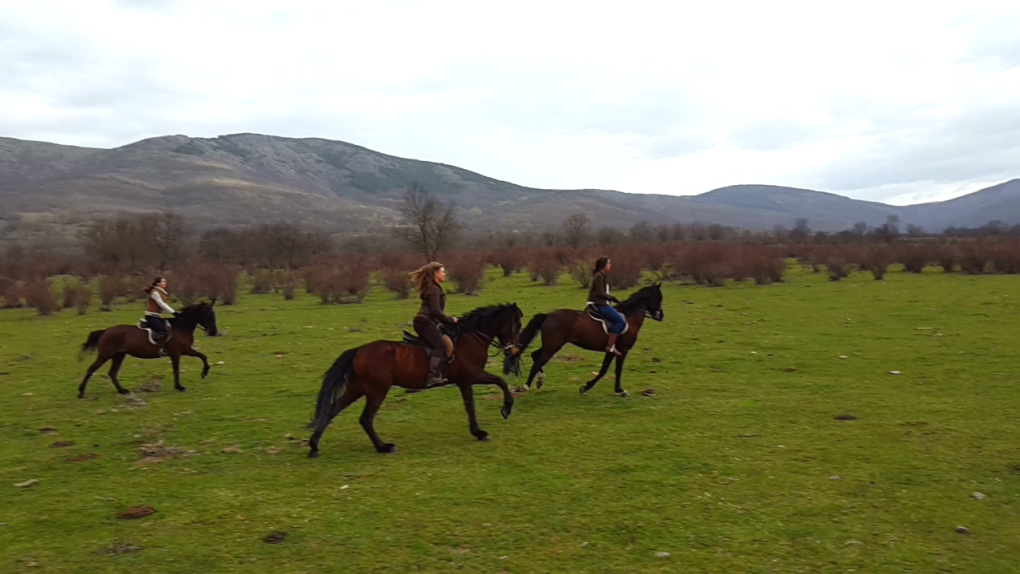 Tras andar sobre las aguas, cabalgar por las rutas de Oteruelo para agotarles. Foto: Caballos del Valle. Tras andar sobre las aguas, cabalgar por las rutas de Oteruelo para agotarles. Foto: Caballos del Valle.