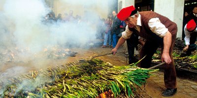 Fiesta de la Calçotada. Fiesta de la Calçotada.
