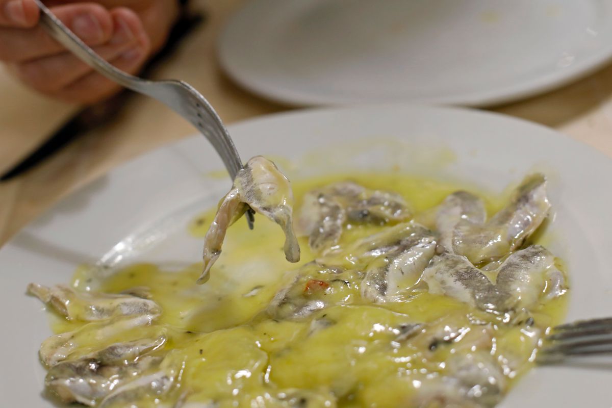 Un plato de kokotxas en 'Bodegón Joxe Mari', Orio, Guipúzcoa. Un plato de kokotxas en 'Bodegón Joxe Mari', Orio, Guipúzcoa.