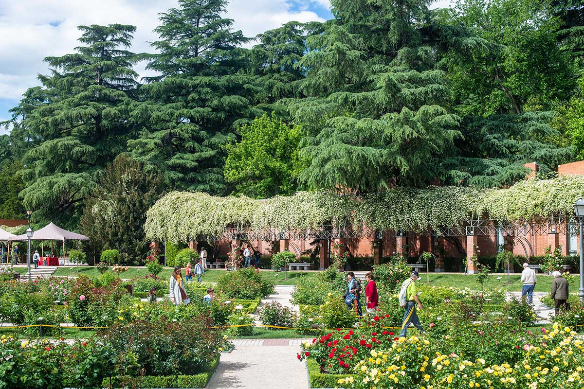 Vista del interior del jardín de La Rosaleda con turistas visitándolo, en el Parque del Oeste (Madrid). Vista del interior del jardín de La Rosaleda con turistas visitándolo, en el Parque del Oeste (Madrid).