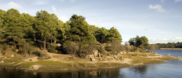 Embalse de La Jarosa. Embalse de La Jarosa.