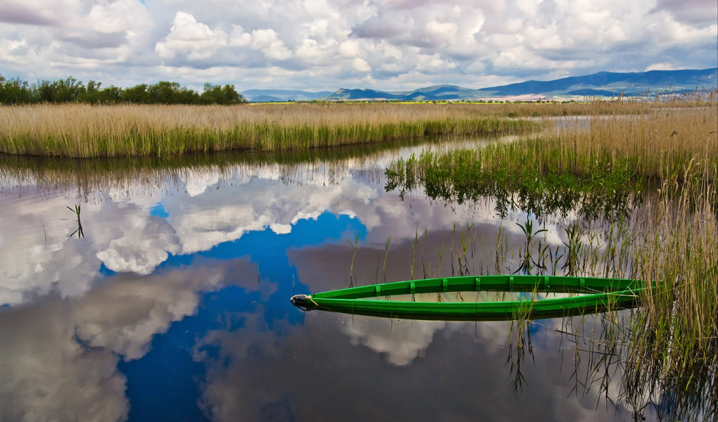 Las Tablas de Daimiel, un lugar único en Europa. Foto: Guillén Pérez (permisos cedidos a guiarepsol.com). Las Tablas de Daimiel, un lugar único en Europa. Foto: Guillén Pérez (permisos cedidos a guiarepsol.com).