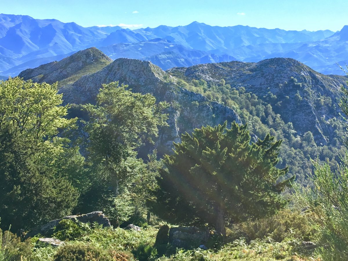 Vistas desde la atalaya de la Breña de los Tejos, Cantabria. Vistas desde la atalaya de la Breña de los Tejos, Cantabria.