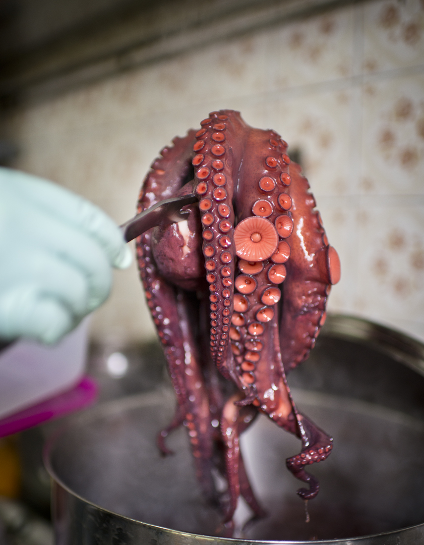 Uhmm, el pulpo ya está cocido y huele que alimenta. Uhmm, el pulpo ya está cocido y huele que alimenta.