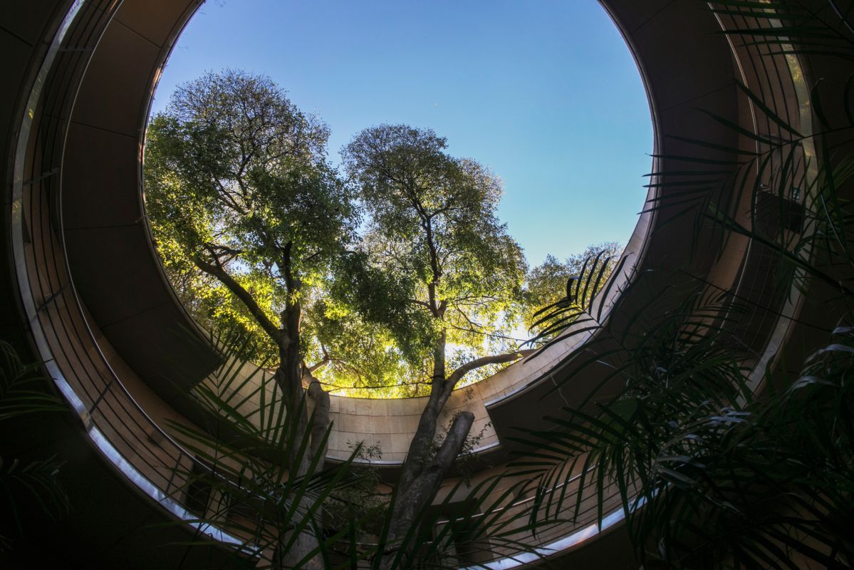 Un rincón del botánico. Un rincón del botánico.