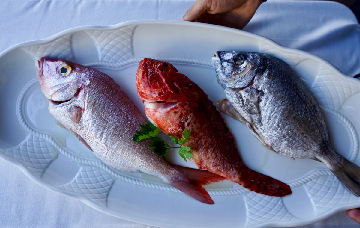 Pescados del restaurante Sport, en Luarca, Asturias. Pescados del restaurante Sport, en Luarca, Asturias.