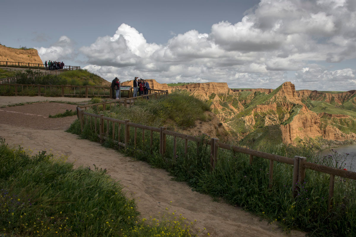 Barrancas de Castrejón y miradores. Barrancas de Castrejón y miradores.
