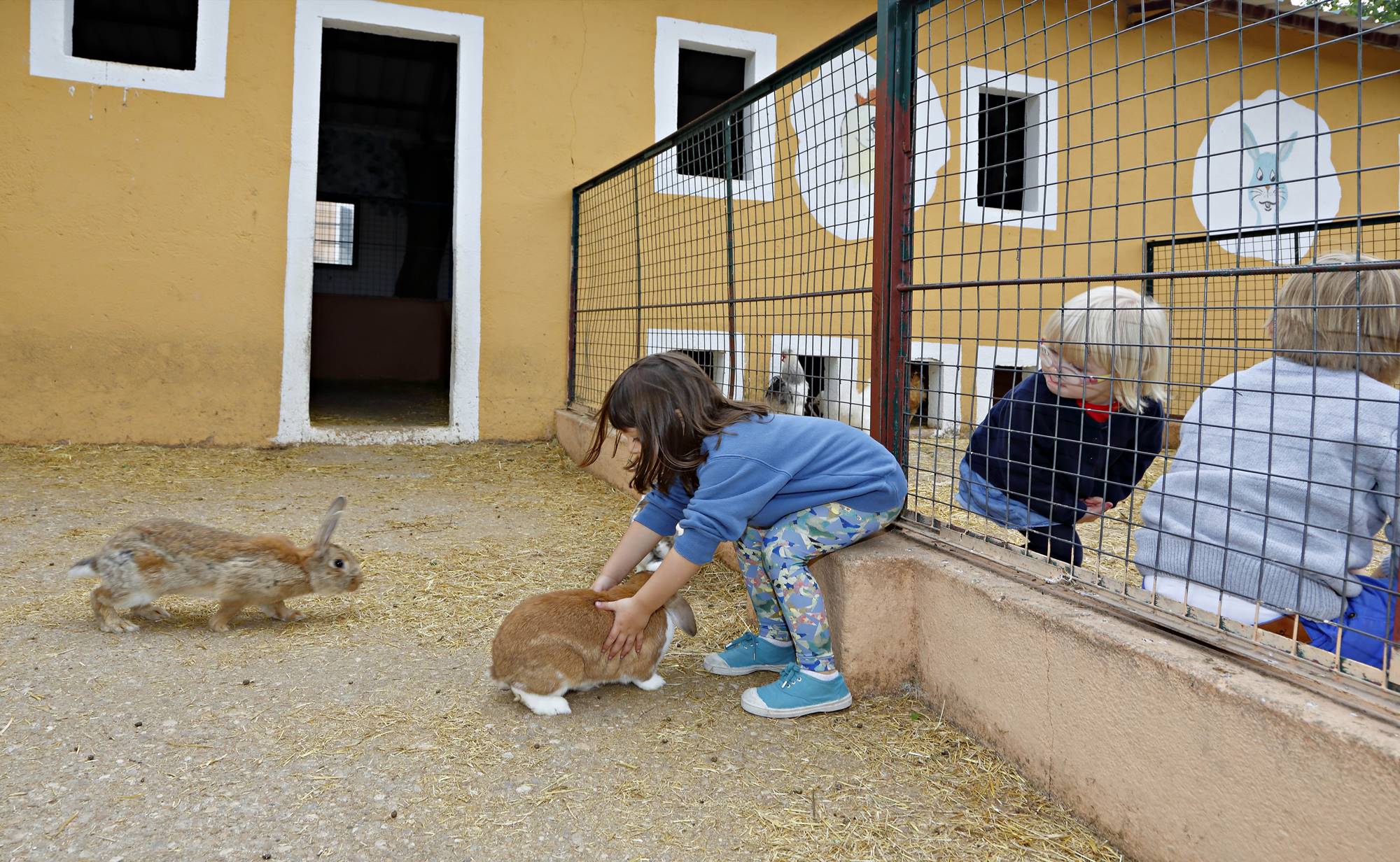 Los niños cogen con delicadeza a los pequeños conejos. Los niños cogen con delicadeza a los pequeños conejos.