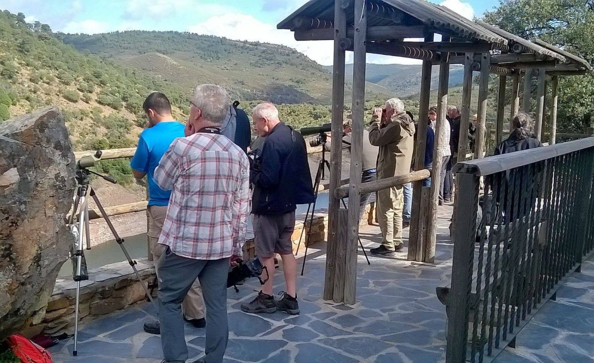 Disfrutando de la variedad de aves que habitan en el parque. Disfrutando de la variedad de aves que habitan en el parque.