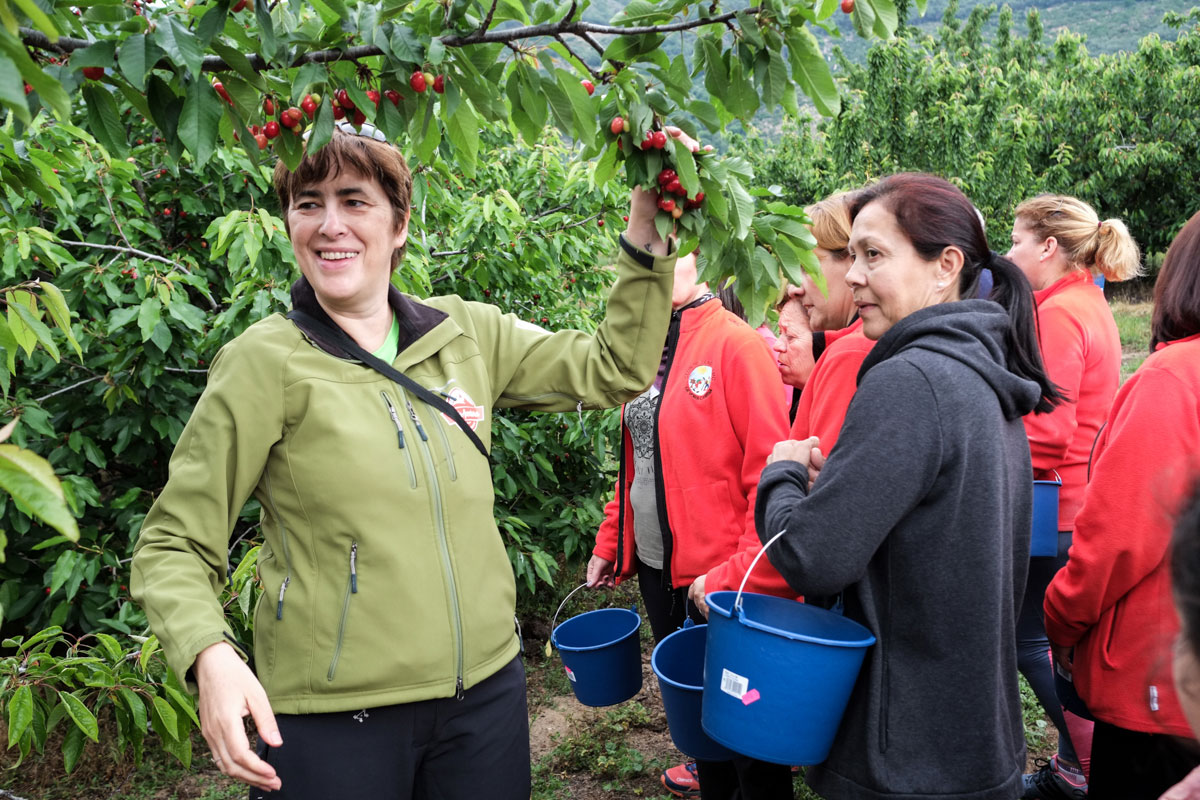 Dalila, guía de ValleAventura, explica cómo recoger la fruta del árbol. Dalila, guía de ValleAventura, explica cómo recoger la fruta del árbol.