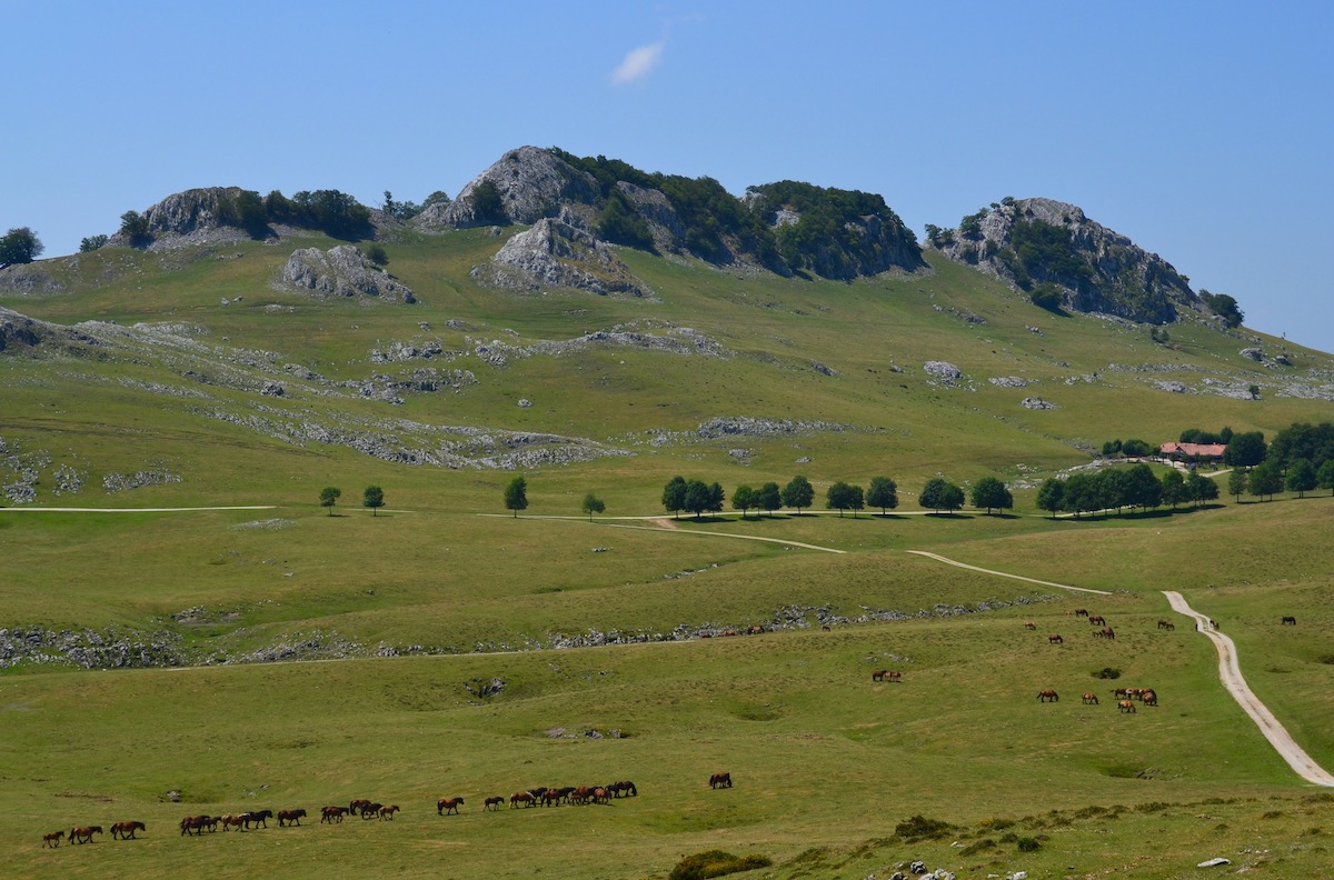 Las llanuras y los pastos del valle de Urbia, descendiendo de la sierra. Las llanuras y los pastos del valle de Urbia, descendiendo de la sierra.