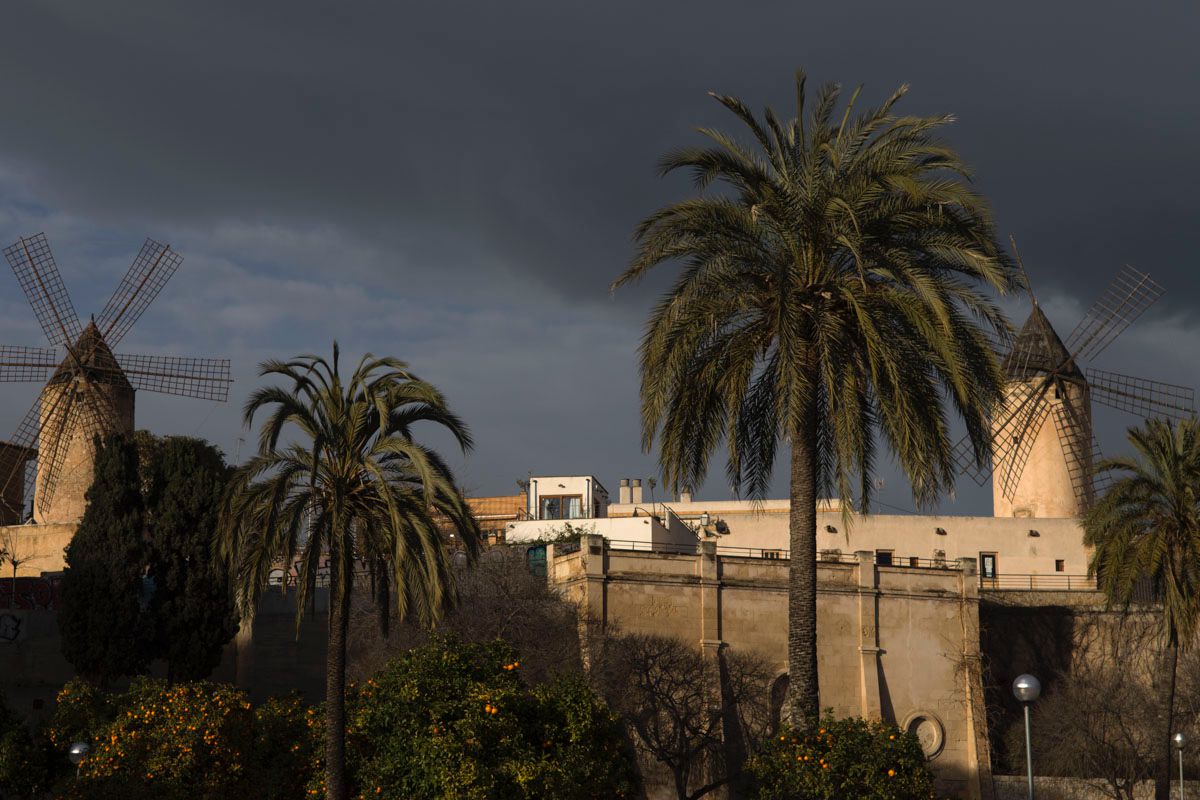 Los molinos, hoy prácticamente abandonados, recuerdan el pasado agrícola de esta isla. Los molinos, hoy prácticamente abandonados, recuerdan el pasado agrícola de esta isla.