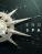 Endless Space 2 PC Digital