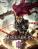 Darksiders III Pre-Order Steam Key