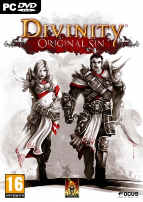 Divinity: Original Sin PC Digital cover