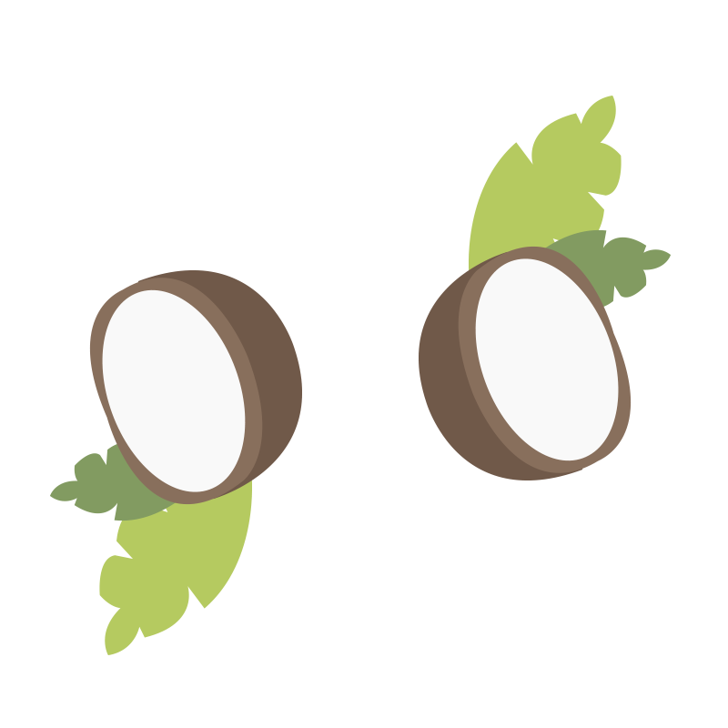 Coconut oil small illustrations