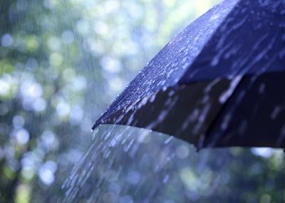 Umbrella_news