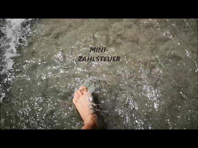 MINI-ZAHLSTEUER 2 FÜßE ( Wunsch )