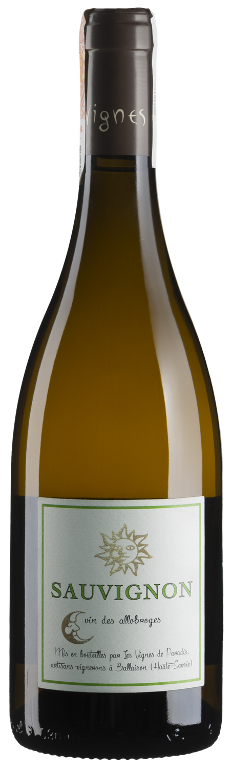 Sauvignon 2019