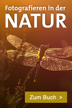 Fotografieren in der Natur