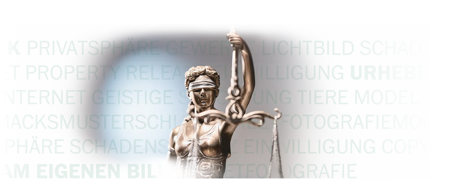 Ihr Ratgeber für den fotografischen Alltag