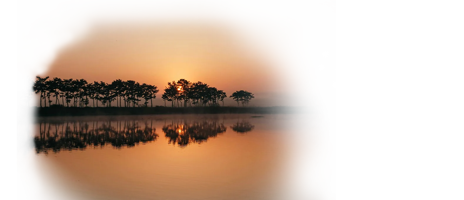 Das umfassende Handbuch