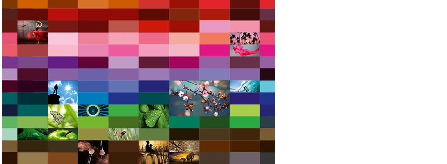 Theorie und Praxis für Grafik und Fotografie